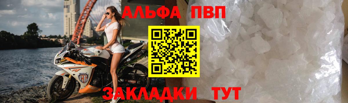 Альфа ПВП СК КРИС Донецк